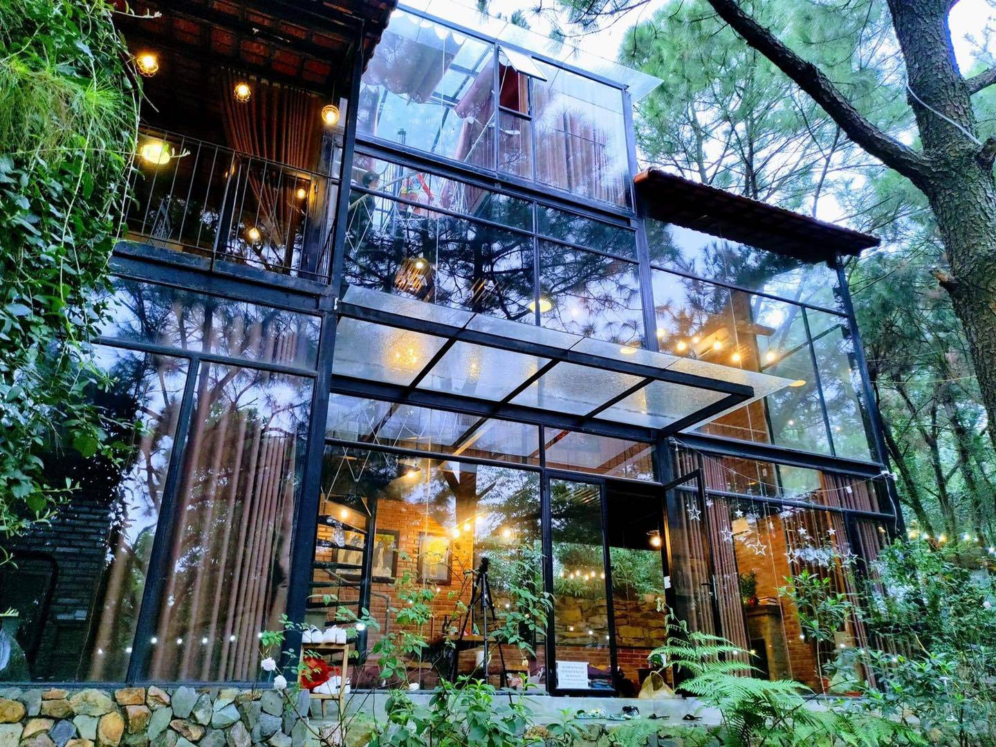 Review The Moonlight Sóc Sơn – Homestay biệt thự nhà kính giữa rừng thông Review The Moonlight Sóc Sơn – Homestay Biệt Thự Nhà Kính Giữa Rừng Thông